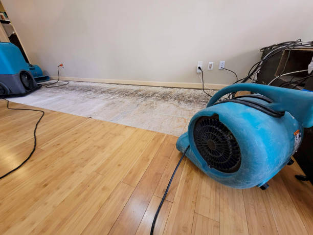 Professional Water Removal technician working in Alton, IA